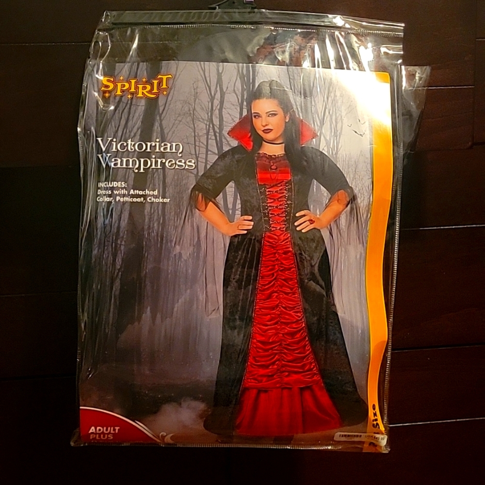 Victorian Vampiress costume worn only once. Everything included on package.